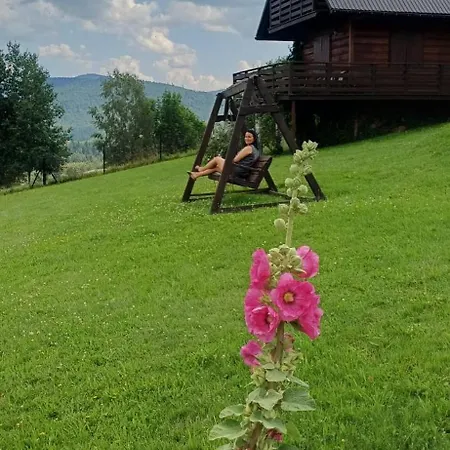 W Pewelce Lodge