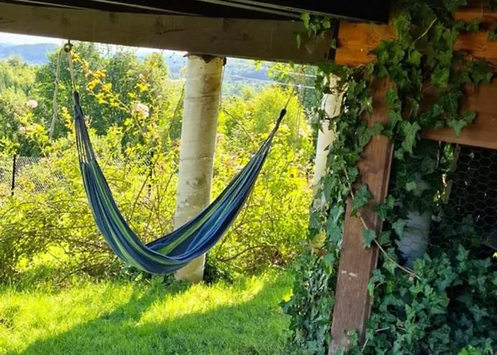 Lodge W Pewelce Pewelka